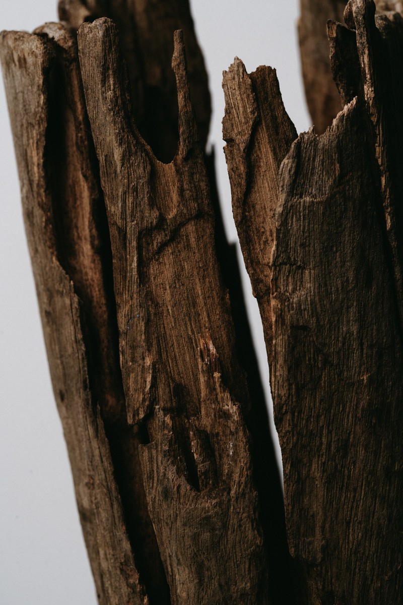 Sculptural wood texture
