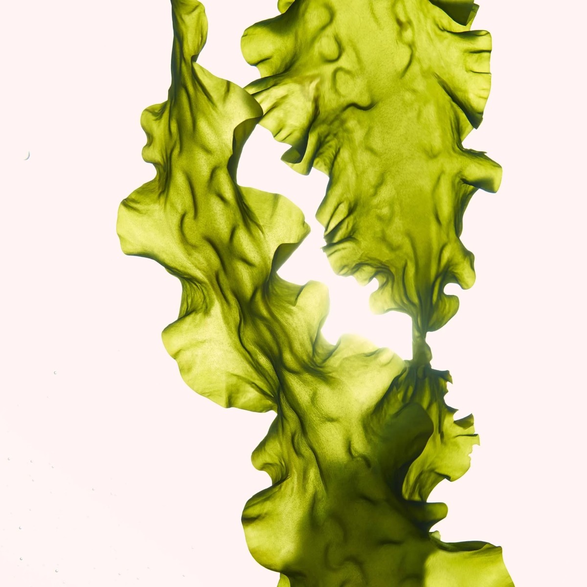 Green botanical texture