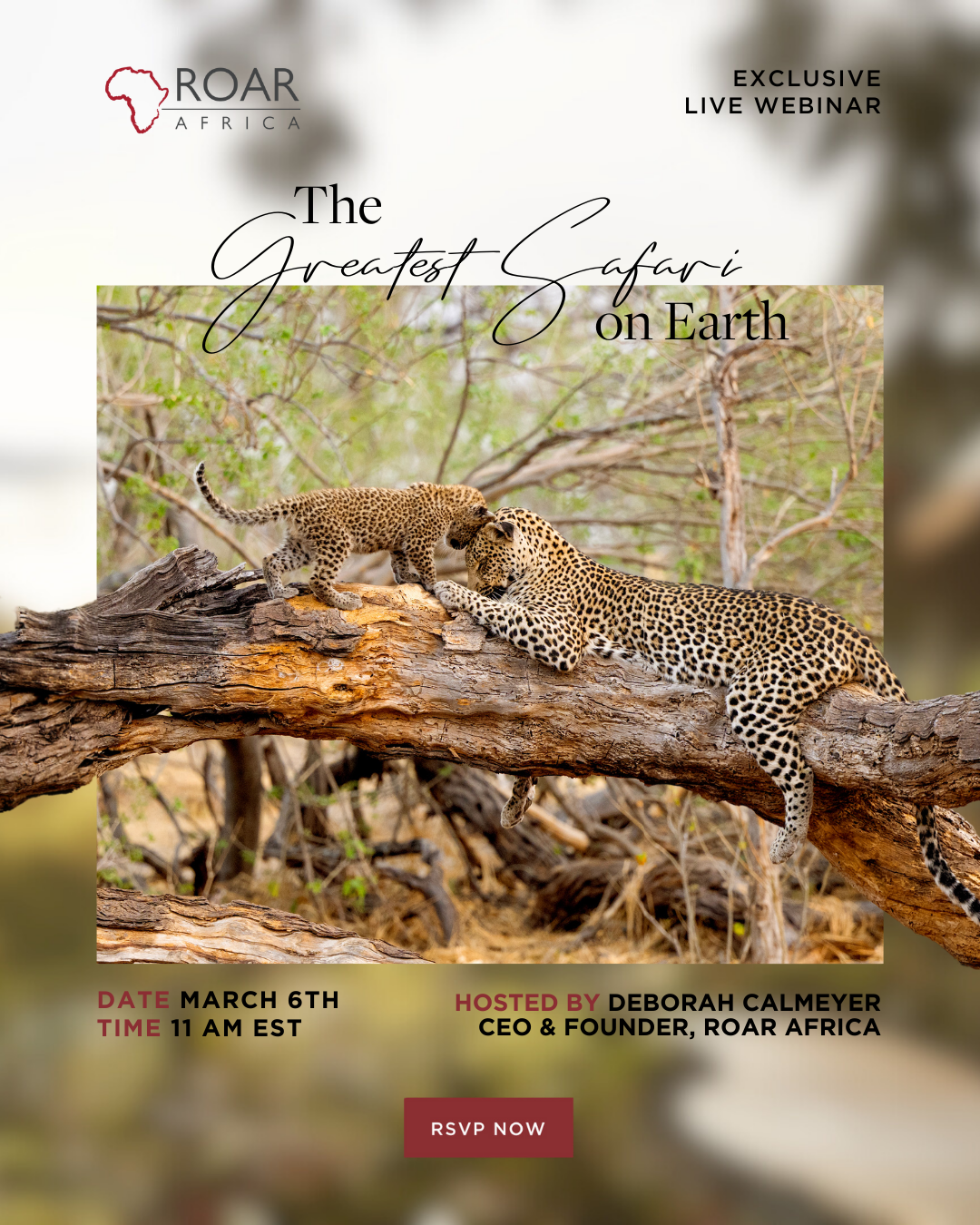 The Greatest Safari on Earth leopard invitation